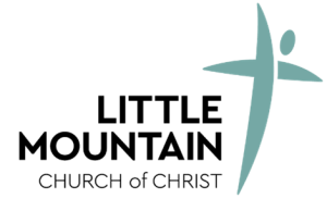 Lead Pastor